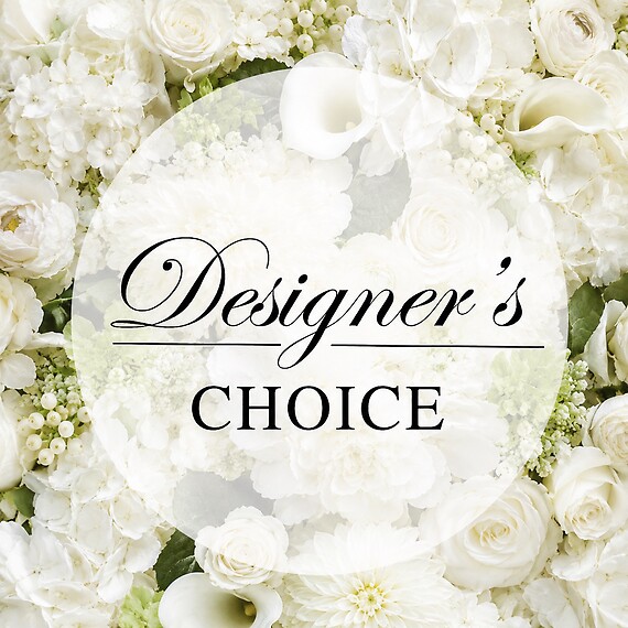All White Elegant Desginer's choice