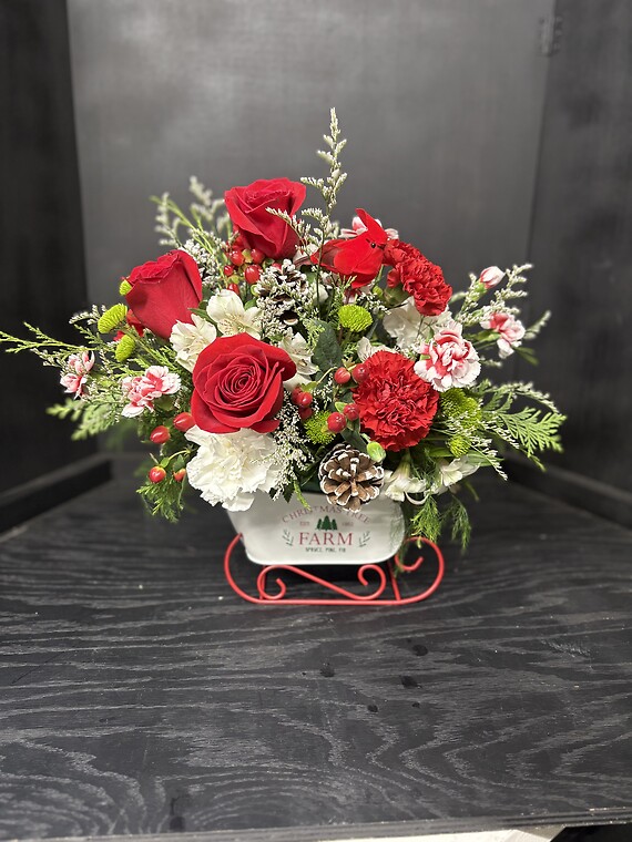 Winter&#039;s Sleigh